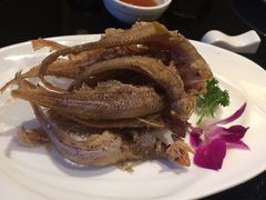-新南华大酒店(广中店)