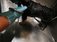 -艾贝尔宠物医院(华府骏苑店)