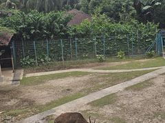 -吉隆坡雀鸟公园
