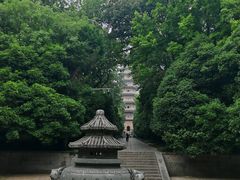 -灵谷景区