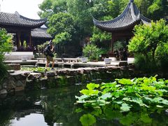 -陈家山荷花公园