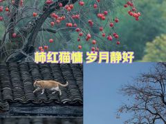 -四明湖
