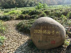 -中国茶叶博物馆(双峰馆区)