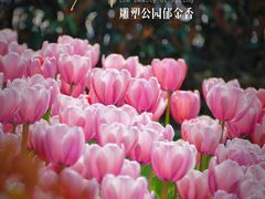 -静安雕塑公园