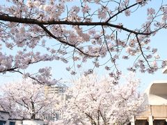 -龙美术馆(西岸馆)