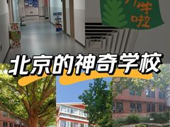 -北京市海淀外国语实验学校