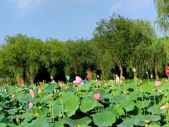 -太阳宫公园