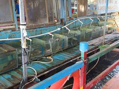 -蓝湾碧波·老字号·疍家非遗海上餐厅