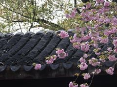 -苏州上方山国家森林公园