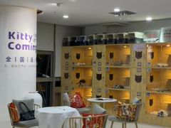 -小猫来了猫舍(福田店)