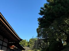 -名古屋城