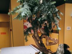 -海底捞火锅(亲贤北街店)