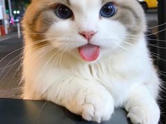 -顺峰顺水顺德菜(龙华店)