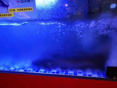 -三江源活鱼现烤(维多利摩尔城店)