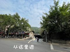 -南山植物园