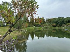 -澹台湖公园