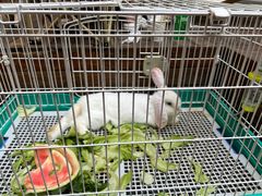 -大象厨房(重庆道店)