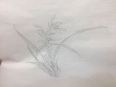 -谷隆画舍·国画书法素描彩铅水彩