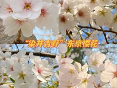 -国家植物园