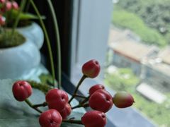 -广州康莱德·韵轩中餐厅
