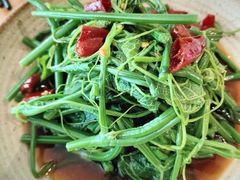 花舍傣族丝瓜苗-花舍·新派粤菜·西餐·下午茶(亚运村·鸟巢店)