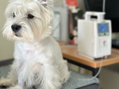 -美联众合动物医院·24h京西诊疗中心