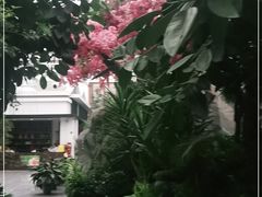 -滕头生态酒店(奉化店)