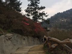 -木兰云雾山