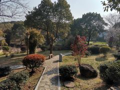 -灵岩山风景区