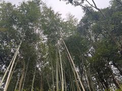 -韶山毛泽东同志故居