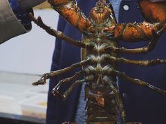 -老郑海鲜楼(天桥店)