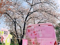 -南浦大桥长途旅游客运站