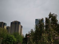 -长白岛森林公园