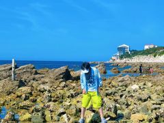 -养马岛旅游度假区