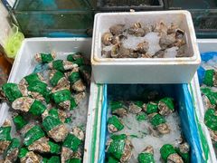 -鑫朱雀农贸批发市场