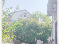 -大塘金香草谷