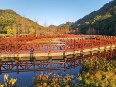 -广州市石门国家森林公园