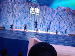 -珠海长隆海洋王国