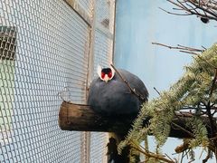 -青藏高原野生动物园