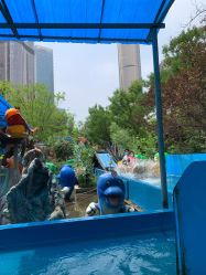 -大望京儿童游乐场