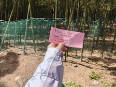 -同里国家湿地公园