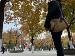 -北陵公园