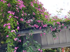-颐和路民国时期公馆风貌区