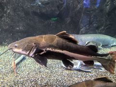 -太平洋海底世界