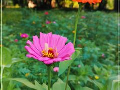 -贵阳市花溪国家城市湿地公园