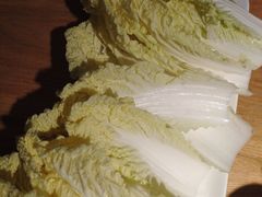 -守柴炉烤鸭(科华中路王府井店)