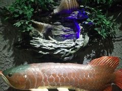 -富侨养生(康乾店)