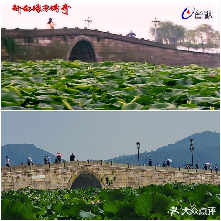西湖游玩微攻略之探索新白娘子传奇取景地