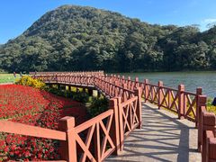 -广州市石门国家森林公园