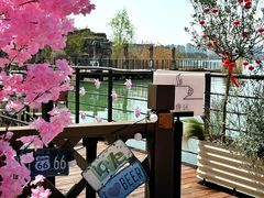 -金鸡湖桃花岛